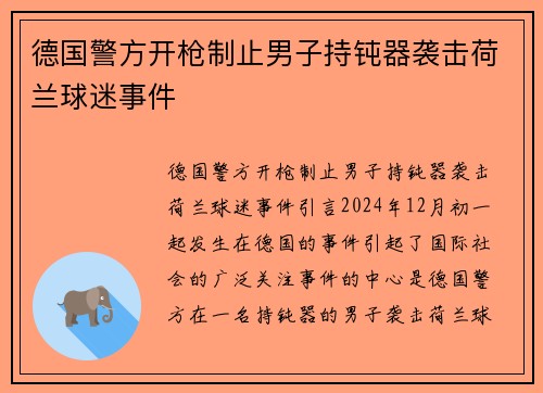 德国警方开枪制止男子持钝器袭击荷兰球迷事件