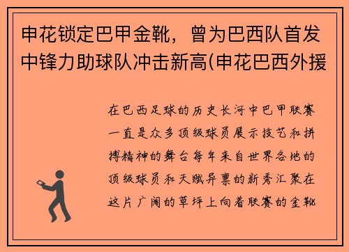 申花锁定巴甲金靴，曾为巴西队首发中锋力助球队冲击新高(申花巴西外援)